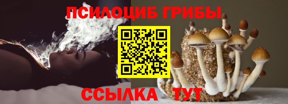 Псилоцибиновые грибы мухоморы  Вход с VPN  цены   Изобильный  Галлюциногенные грибы мухоморы 